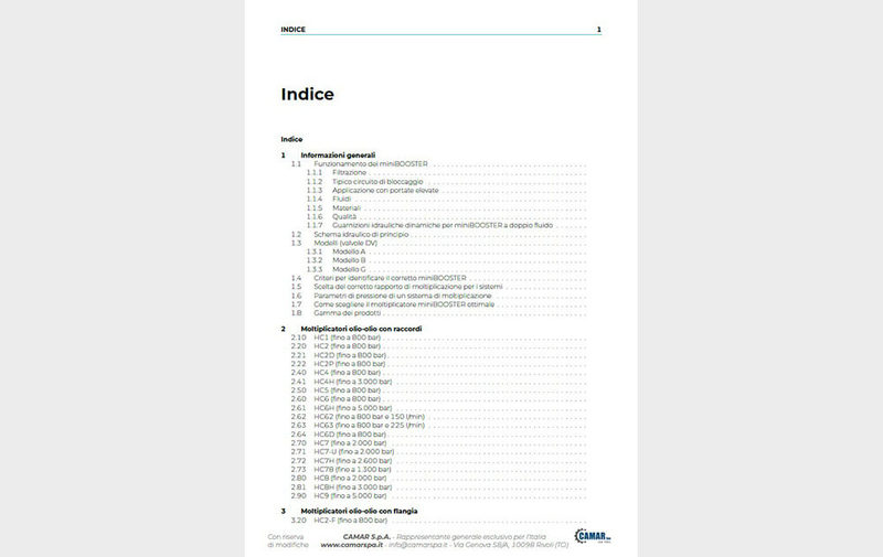 Gruppo INDICE - Indice miniBOOSTER - Camar S.p.A.
